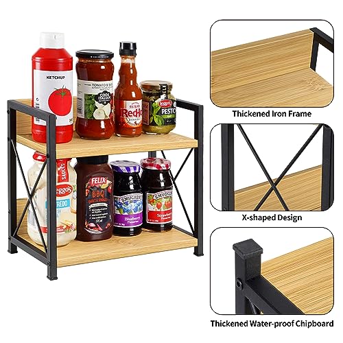 2 Tier Spice Rack