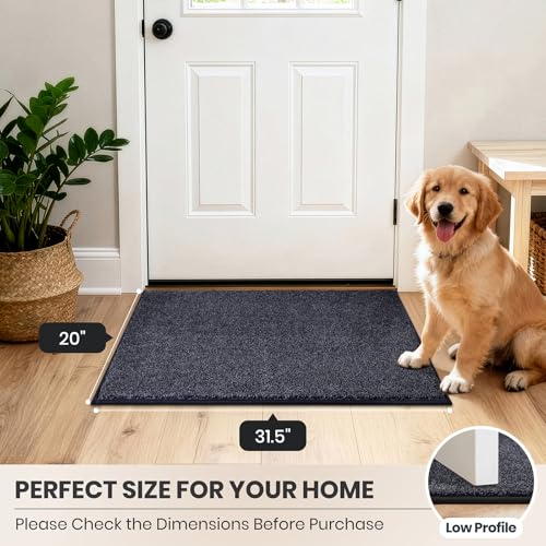 Dirt Trapping Indoor Door Mat