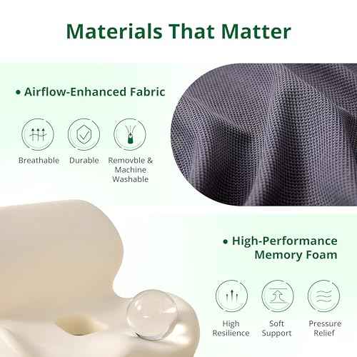 Seat and Back Cushion