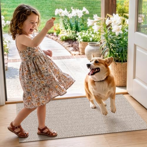 Ultra Thin Indoor Door Mat