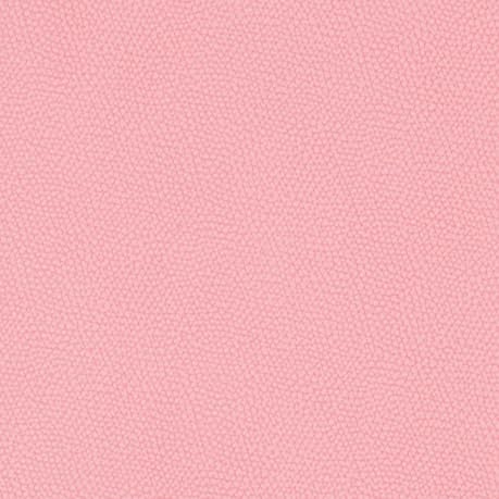2027 Planner Weekly and Monthly Planner