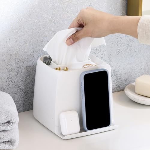 The Ledge Tissue Holder