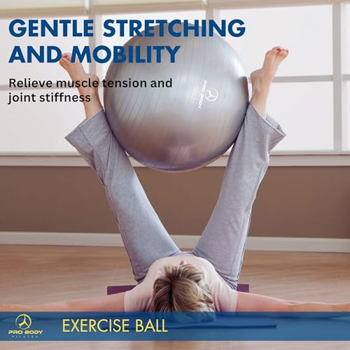 Yoga Ball Gym Grade Exercise Ball