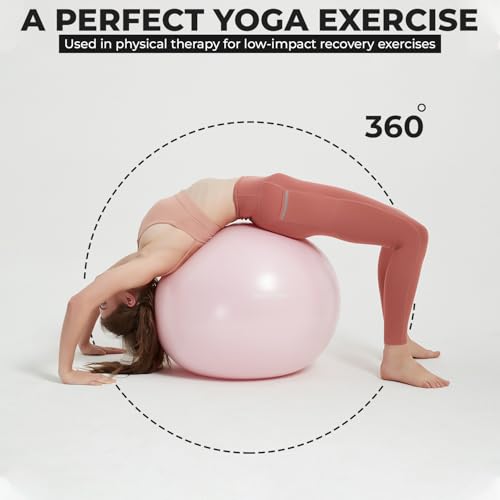 Yoga Ball Chair with 65cm Exercise Ball & 2 Resistance Bands