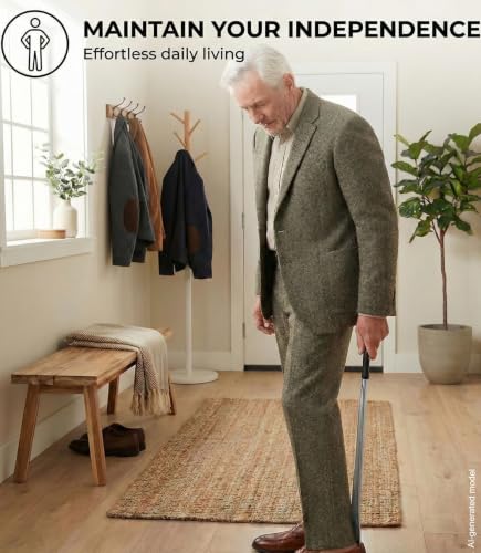 Shoe Horn Long Handle