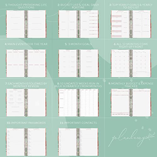 Hourly Schedule Planner Premium