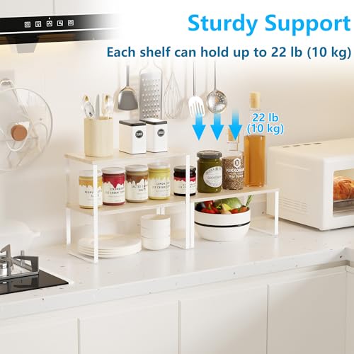 Kitchen Counter Organizer