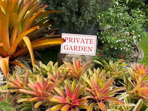 Custom Office Signs