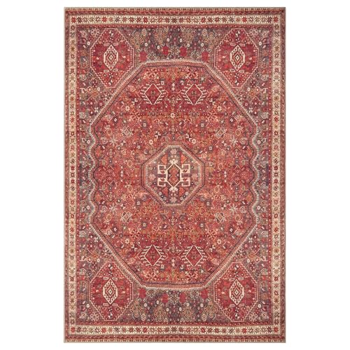 Machine Washable Area Rug with Non