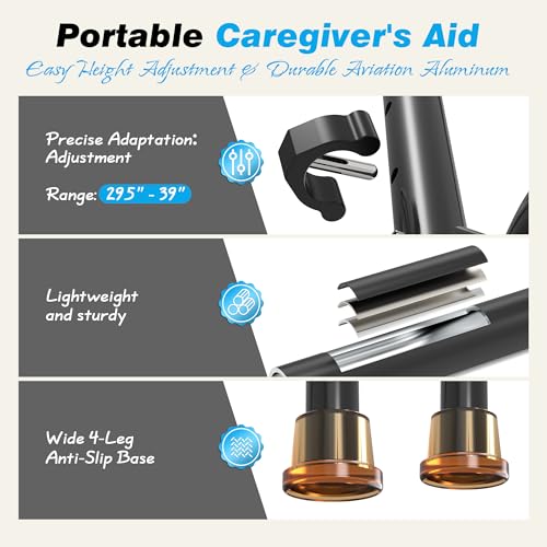 Stand Assist Aid for Seniors