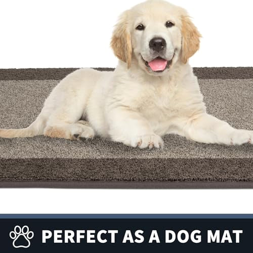 Dirt Trapping Indoor Door Mat
