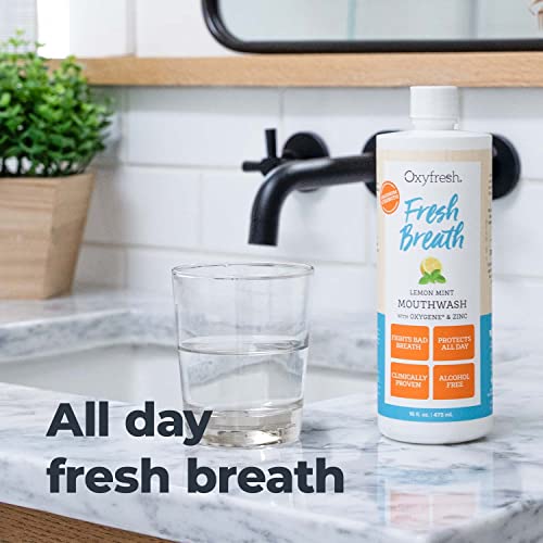 Lemon Mint Fresh Breath Mouthwash