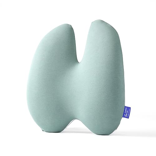Cushion Lab Extra Dense Lumbar Pillow