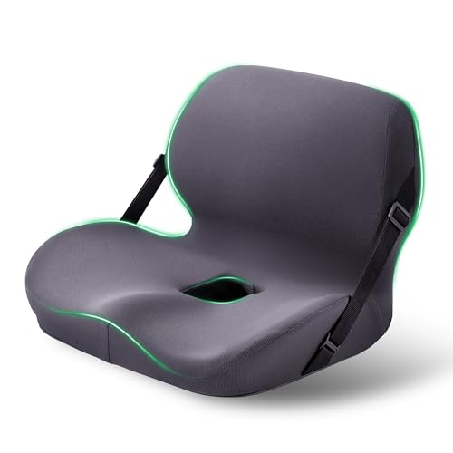 Seat and Back Cushion