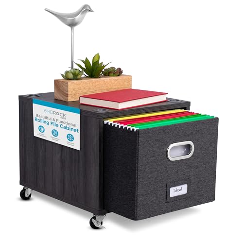 Rolling File Cabinet