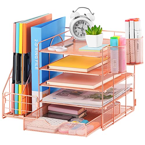 Desk Organizer with File Holder