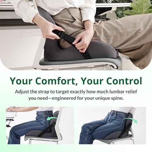 Seat and Back Cushion