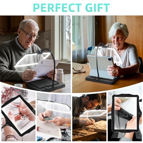 Desk Magnifying Glass with Light and Stand