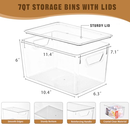 Storage Bins with Lids
