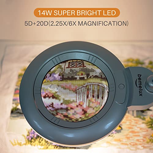 Bifocal Magnifying Lamp with Clamp