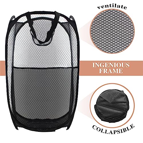 Collapsible Pop Up Laundry Hamper