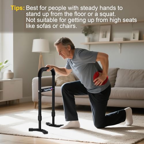 Stand Assist Aid Plus