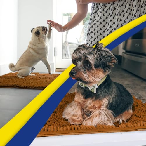 Super Water Absorbent Door Mat Indoor