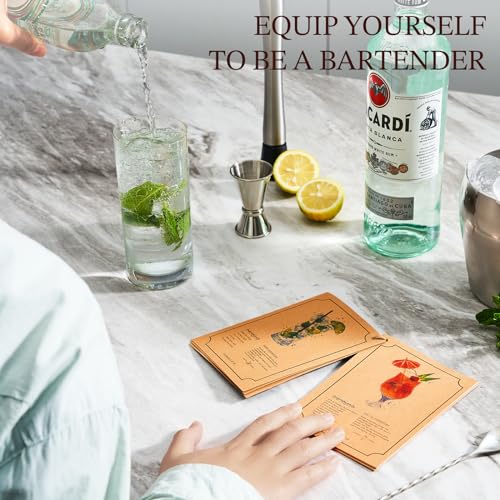 Cocktail Shaker Set Bartender Kit with Stand