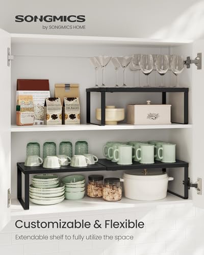 Spice Racks Expandable and Stackable Shelf Orgnizers