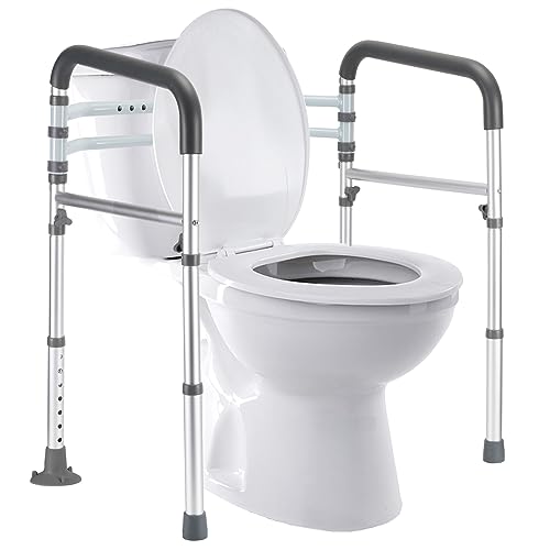 Toilet Safety Rails