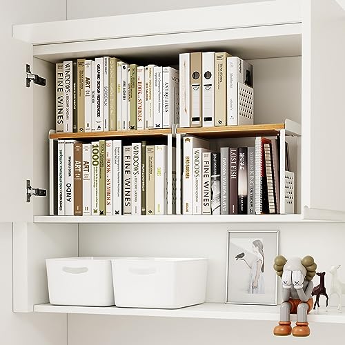 Organizer Shelf and Storage