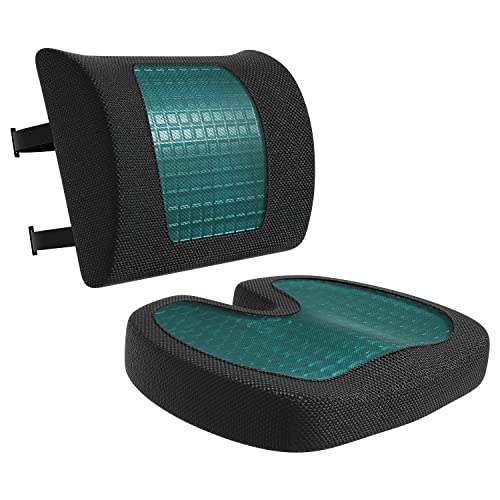 Back Support Cushion