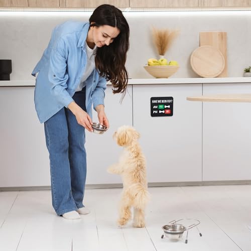 Dog Feeding Reminder