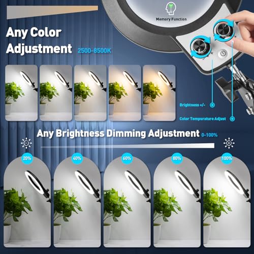 12X Magnifying Glass with Light and Stand