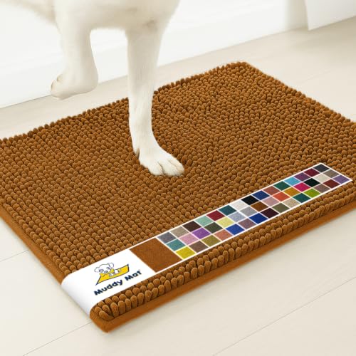Super Water Absorbent Door Mat Indoor