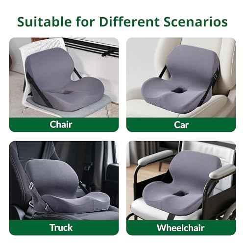 Seat and Back Cushion