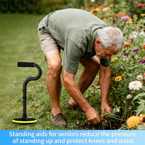 Standing Assist Devices Mobility Aids to Help Get up from Floor