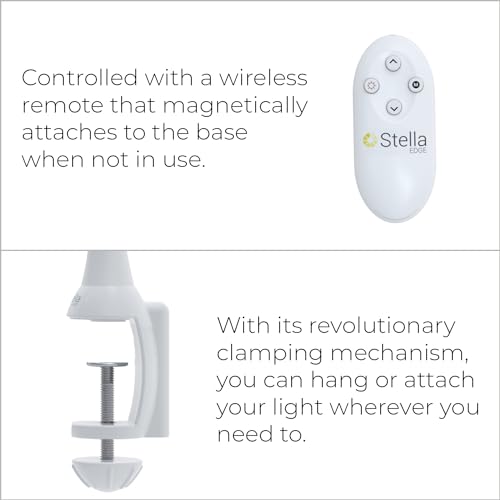 LED Desk Task Lamp