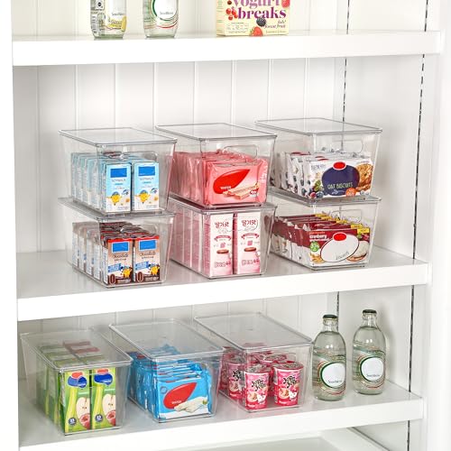 Stackable Storage Bins with Lids