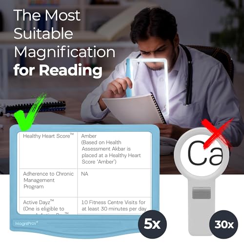 Battery Operated Black & Silver Page Magnifier
