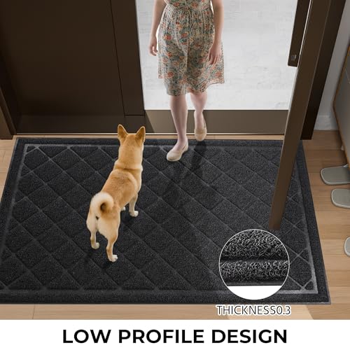 Front Door Mat Indoor Outdoor Entrance