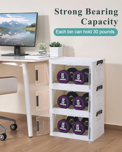 Storage Bins with Lids