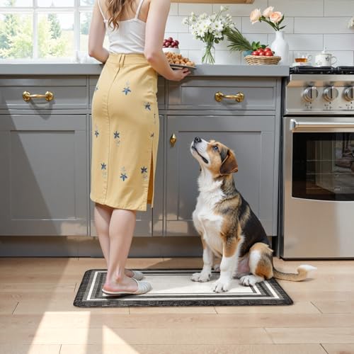 KIMDOE Boho Kitchen Rugs and Mats 2PCS Cushioned Anti Fatigue Kitchen Mat Non