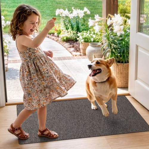 Ultra Thin Indoor Entry Doormat