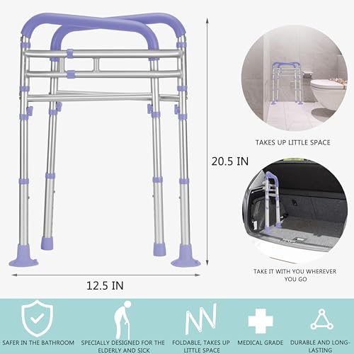 Toilet Safety Rails