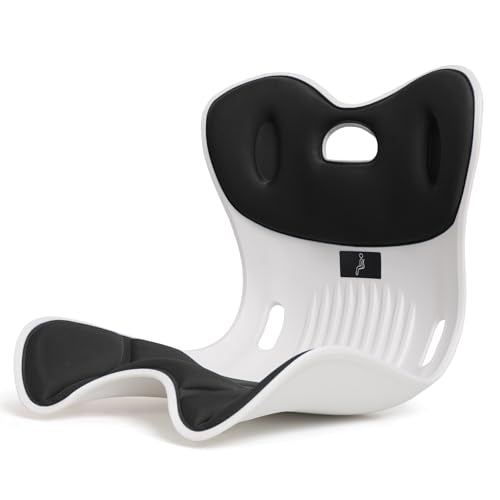 Ergonomic Back Support for Office Chair Cushion with Lumbar Pillow