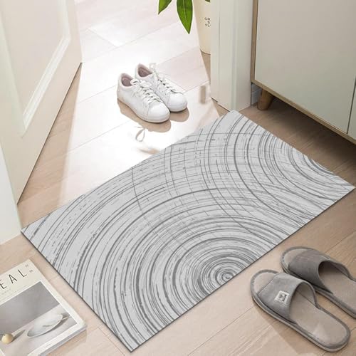 Ultra Thin Indoor Door Mat