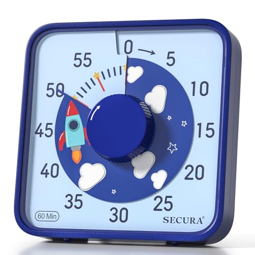 60 Minute Visual Countdown Timer