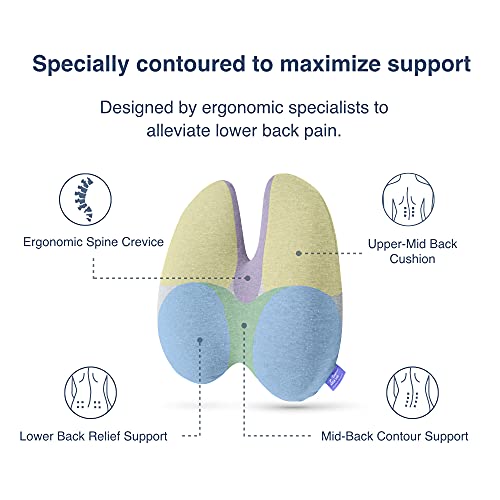 Cushion Lab Extra Dense Lumbar Pillow