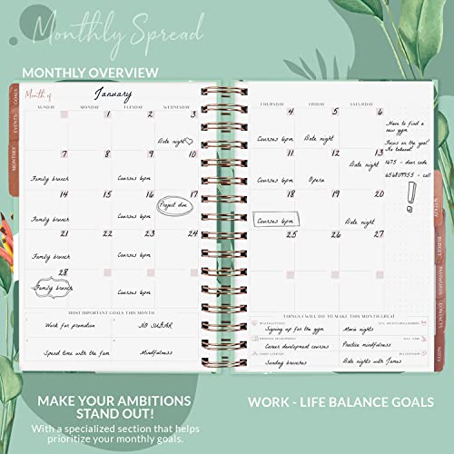 Hourly Schedule Planner Premium